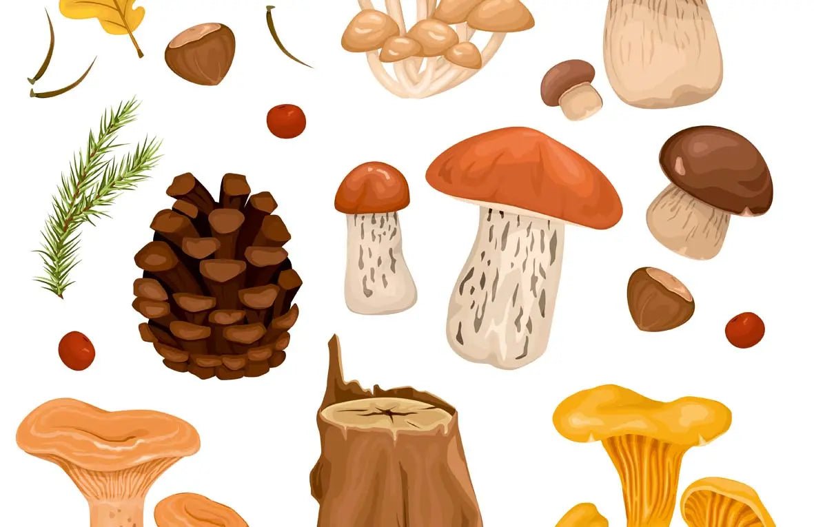 Chasse au trésor d'Automne Gratuite - TRESORS & confettis