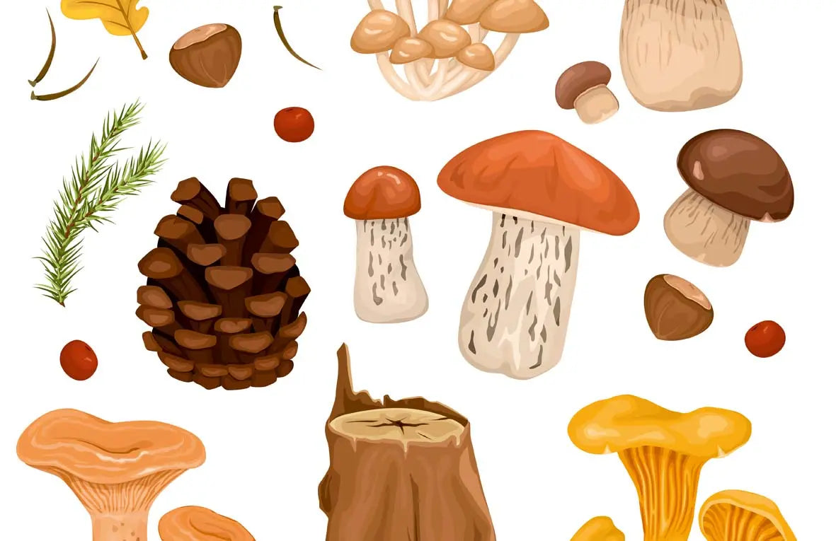 Chasse au trésor d'Automne Gratuite