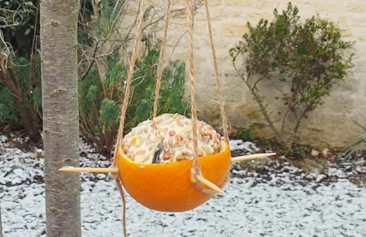 Fabriquer une mangeoire pour oiseaux - TRESORS & confettis